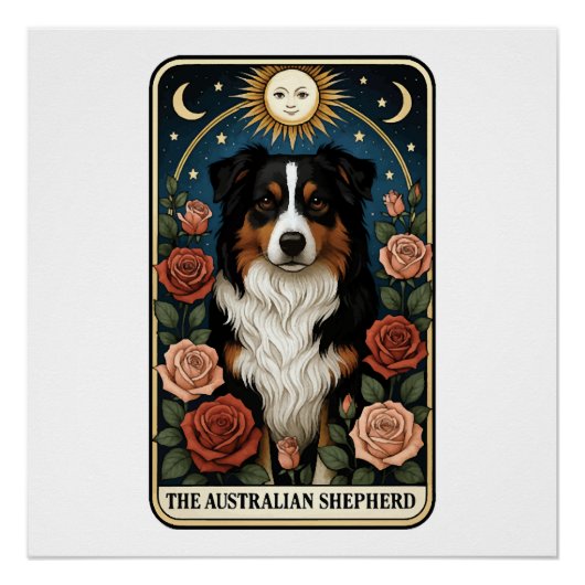 Australische Herder Perfect Poster (Voorkant)