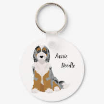 Australische Herder Poedel mix, Aussie Doodle Key