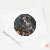 Australische herder pompoenen Halloween eng Ronde Sticker (Envelop)