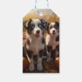 Australische Herder Puppy Herfst Delight Pompoen Cadeaulabel (Voorkant)