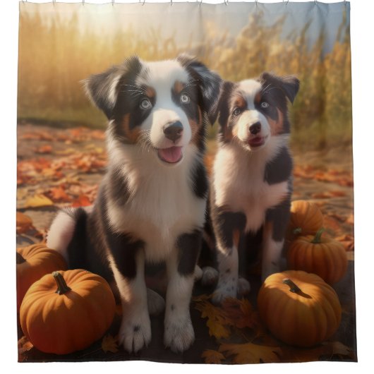 Australische Herder Puppy Herfst Delight Pompoen Douchegordijn (Voorkant)