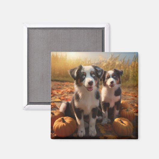 Australische Herder Puppy Herfst Delight Pompoen Magneet (Voorkant / Achterkant)