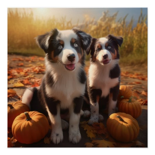 Australische Herder Puppy Herfst Delight Pompoen Perfect Poster (Voorkant)