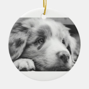 Australische herder puppy zwart-wit keramisch ornament