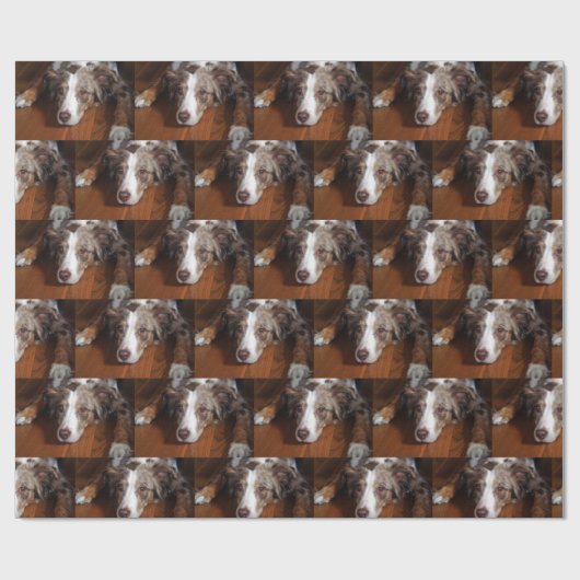 australische herder red merle plat leggen cadeaupapier (Vlak)