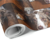 australische herder red merle plat leggen cadeaupapier (Rol Hoek)