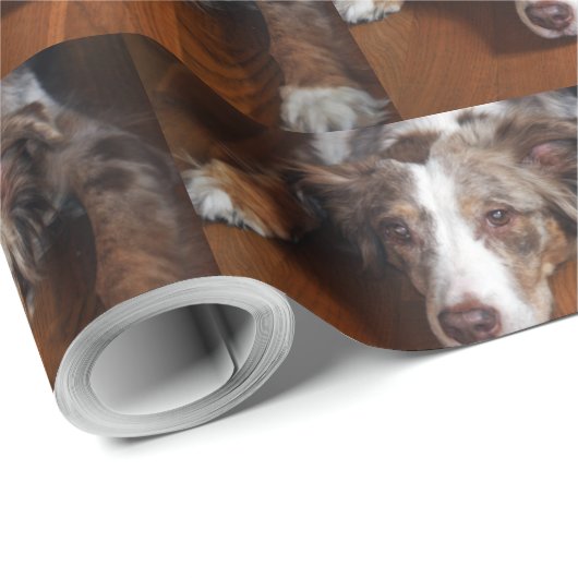 australische herder red merle plat leggen cadeaupapier (Rol Hoek)