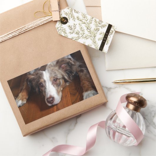 australische herder red merle plat leggen rechthoekige sticker (Geschenken)