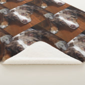 australische herder red merle plat leggen sherpa deken (3/4)