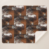 australische herder red merle plat leggen sherpa deken (Voorkant (horizontaal))