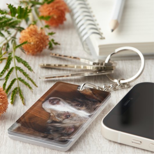 australische herder red merle plat leggen sleutelhanger (Voorkant Rechts)