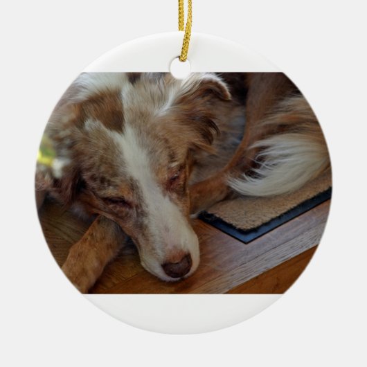Australische herder rode merle slapend keramisch ornament (Voorkant)