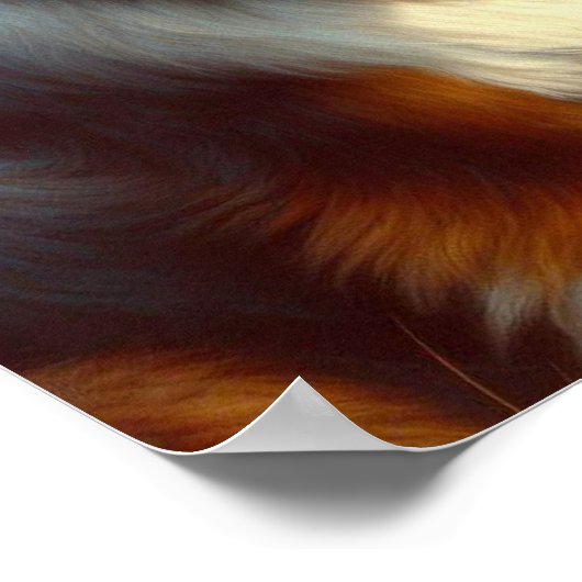  Australische herder schilderij Poster (Hoek)