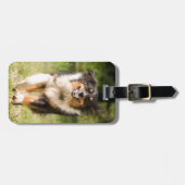 Australische herder speelt met bal bagagelabel (Voorkant horizontaal)