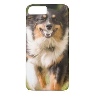 Australische herder speelt met bal Case-Mate iPhone case