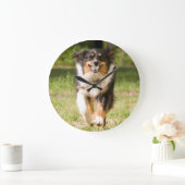 Australische herder speelt met bal grote klok (Huis)