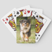 Australische herder speelt met bal pokerkaarten (Achterkant)