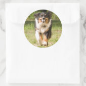 Australische herder speelt met bal ronde sticker (Tas)