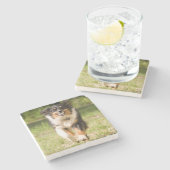 Australische herder speelt met bal stenen onderzetter (Zijkant)