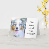 AUSTRALISCHE HERDER STUURT VERJAARDAG KAART (Gele Bloem)