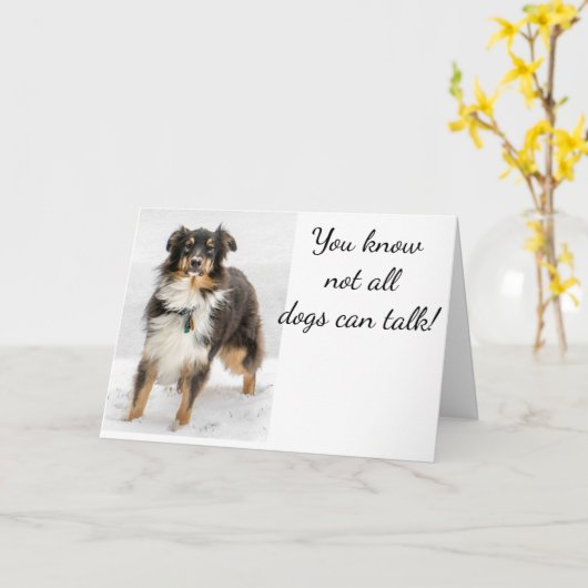 AUSTRALISCHE HERDER STUURT VERJAARDAG KAART (Gele Bloem)