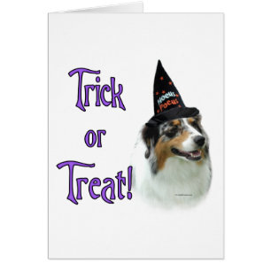 Australische herder truc