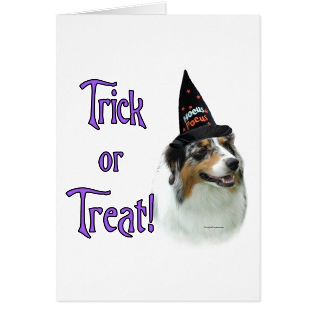 Australische herder truc (Voorkant)