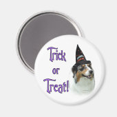 Australische herder truc magneet (Voorkant / Achterkant)