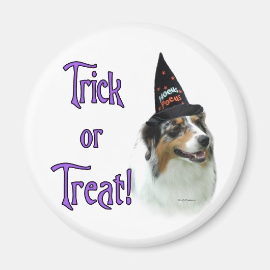 Australische herder truc magneet (Voorkant)