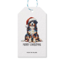 Australische herder verpakt in kerstlicht