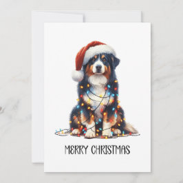 Australische herder verpakt in kerstlicht feestdagenkaart