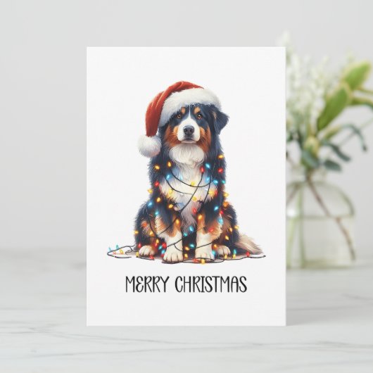 Australische herder verpakt in kerstlicht feestdagenkaart (Staand voorkant)