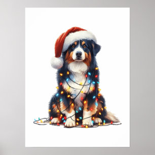 Australische herder verpakt in kerstlicht poster