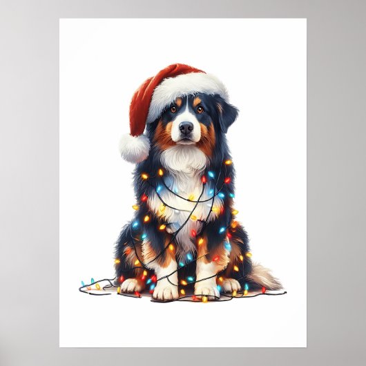 Australische herder verpakt in kerstlicht poster (Voorkant)