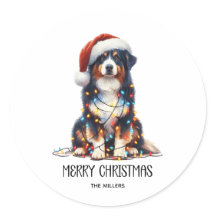 Australische herder verpakt in kerstlicht