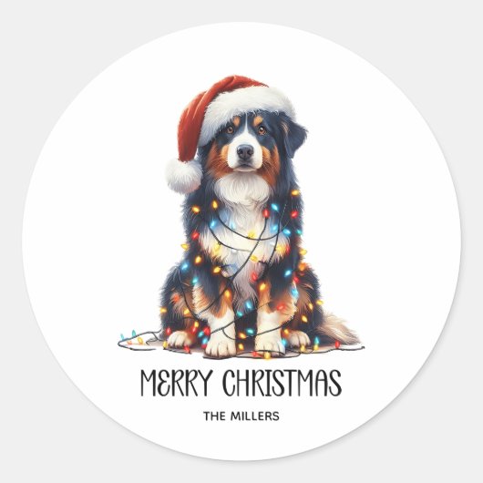 Australische herder verpakt in kerstlicht ronde sticker (Voorkant)