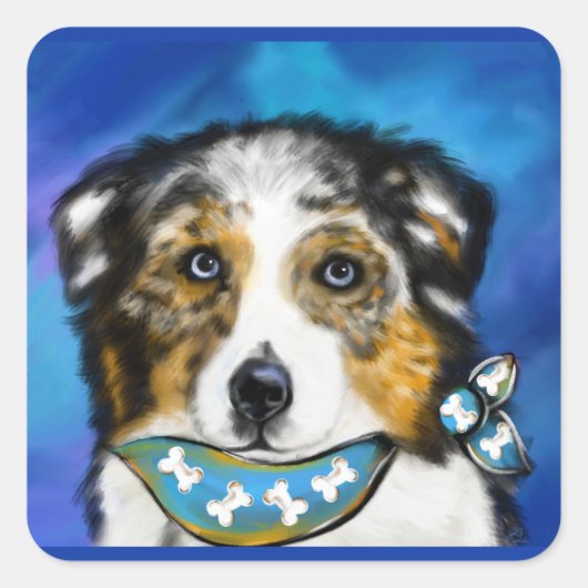 AUSTRALISCHE HERDER    VIERKANTE STICKER (Voorkant)