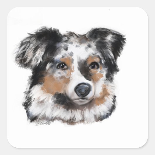 Australische Herder Vierkante Sticker (Voorkant)