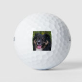 Australische herder zwarte tri golfballen (Voorkant)