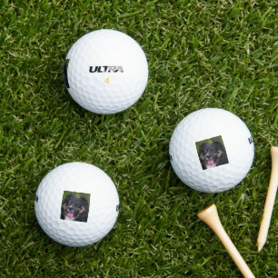 Australische herder zwarte tri golfballen