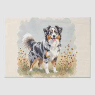 Australische HerderHond Merle Lange Staart Tissuepapier