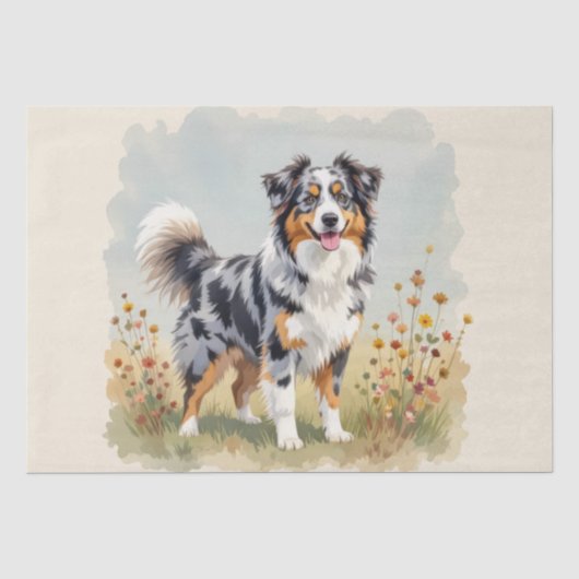 Australische HerderHond Merle Lange Staart Tissuepapier (Voorkant)