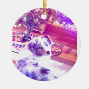 Australische herderkerst keramisch ornament