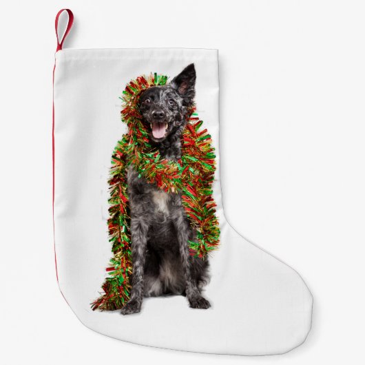 Australische herderkerst kleine kerstsok (Voorkant)