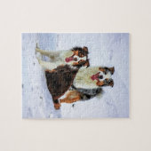 Australische herderkoppels legpuzzel (Horizontaal)