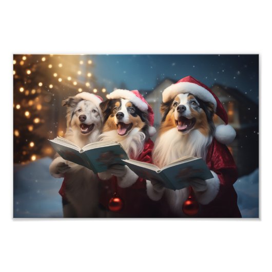 Australische Herders Kerstmis Caroling Vakantie Foto Afdruk (Voorkant)