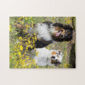 Australische herders legpuzzel (Horizontaal)