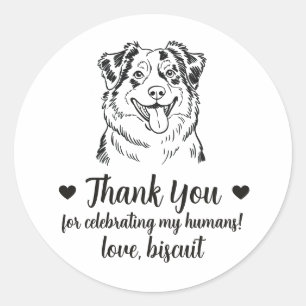 Australische Herdershond Huwelijksgunststickers Ronde Sticker