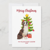 Australische Herdershond Kerstmis Feestdagenkaart (Voorkant)