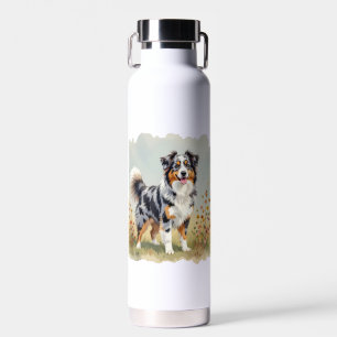 Australische Herdershond Merle Lange Staart Waterfles